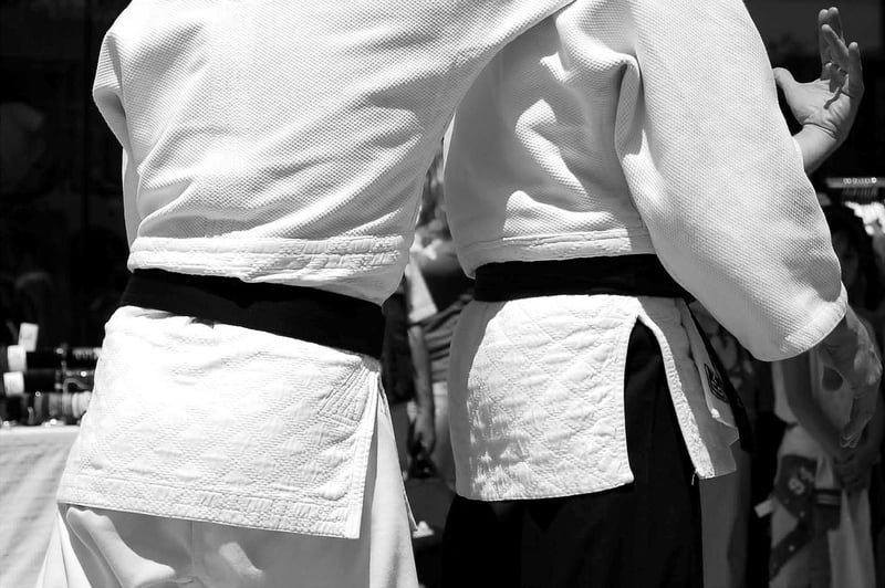 Jiu-Jitsu Image